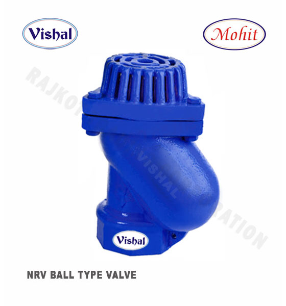 CI NRV Ball Type Foot Valve